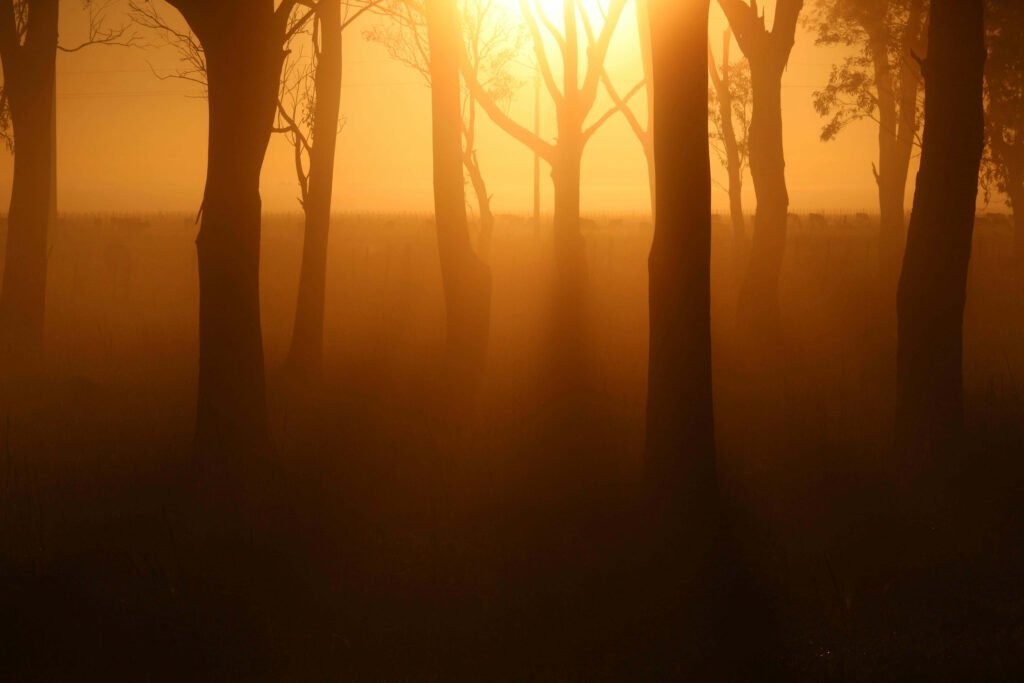 Infinitum blog_Samosabotaža – zašto radimo protiv sebe